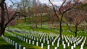 Graves at Arlington National Cemetery—reflective stop on Washington DC school trips exploring remembrance, conflict, and American history.