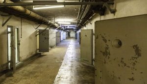 hohenshonhausen-cells