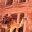 petra-camel