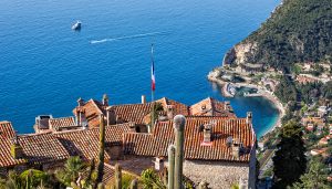 eze-med-view