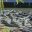 alligators-in-florida