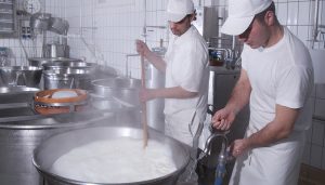 mozzarella-farm-1