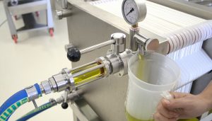 olive-oil-factory-process