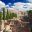 colosseum-from-palatine-hill