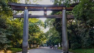 Wooden torii gate at the entrance to Meiji Shrine in Tokyo, Japan – a culturally significant site where school groups and tourists learn about Shinto traditions, Japanese architecture, and the history of the Meiji era