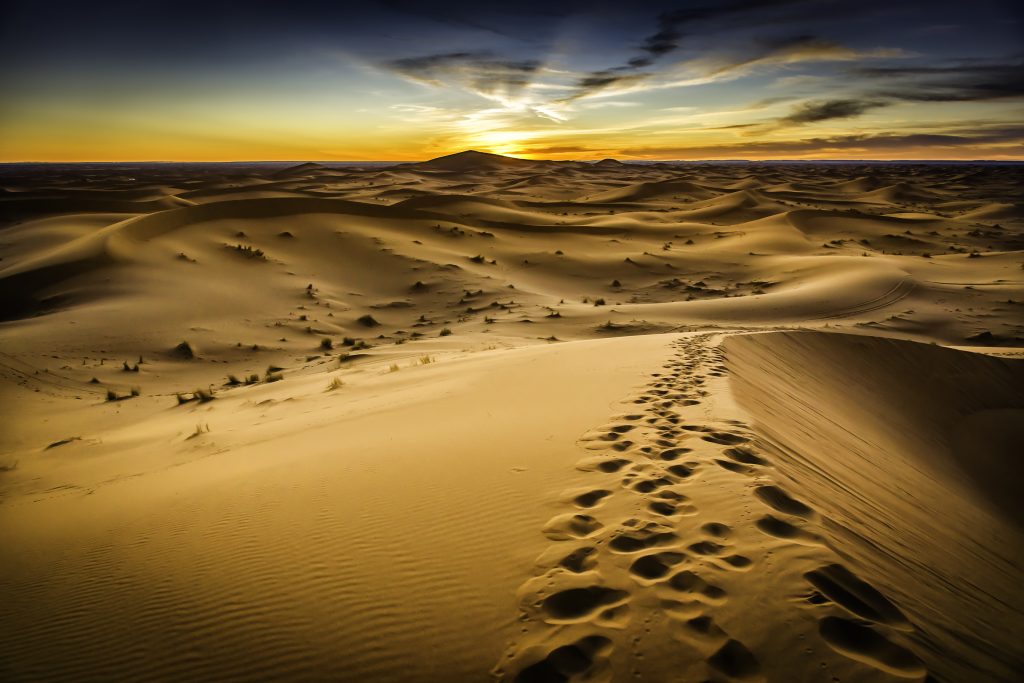 Camel trek through the dunes of the Sahara at sunset during a Morocco school trip.